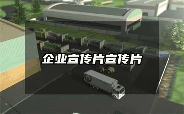 企業(yè)宣傳片宣傳片